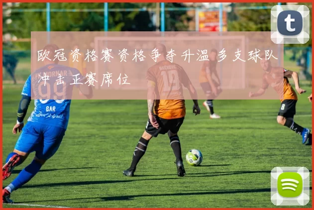 欧冠资格赛资格争夺升温 多支球队冲击正赛席位