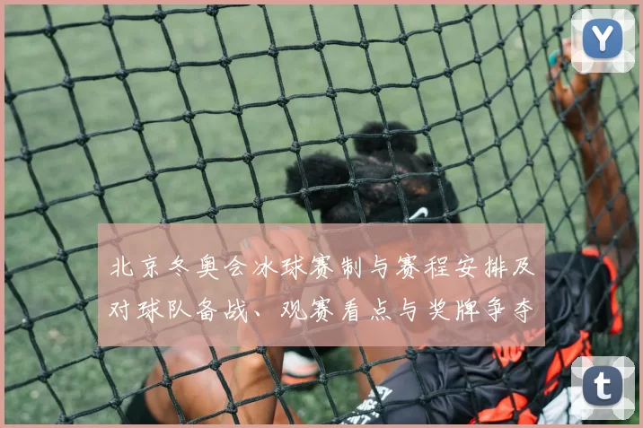 北京冬奥会冰球赛制与赛程安排及对球队备战、观赛看点与奖牌争夺形势
