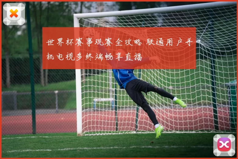 世界杯赛事观赛全攻略 联通用户手机电视多终端畅享直播