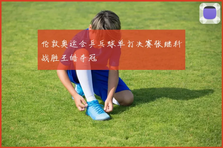 伦敦奥运会乒乓球单打决赛张继科战胜王皓夺冠
